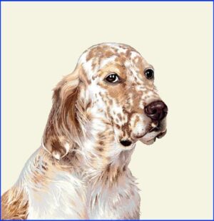 Câine Labrador - Pernă decorativă