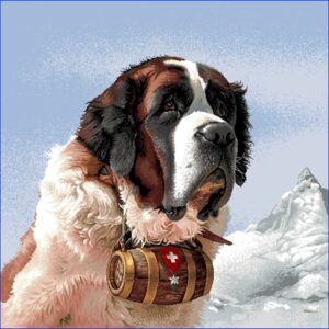 Câine Saint Bernard - Pernă decorativă