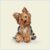 Huse de perne decorative 45/45