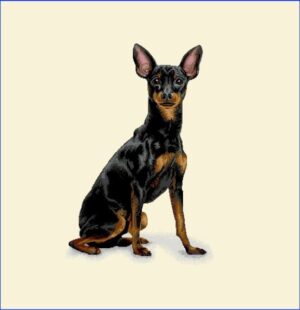 Dog - Pernă decorativă Jacquard 65