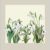 Huse de perne decorative 45/45