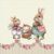 Huse de perne decorative 45/45