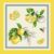 Huse de perne decorative 45/45