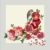 Huse de perne decorative 45/45