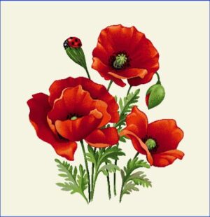 Pernă decorativă Maci - Art 28