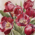 Huse de perne decorative 45/45