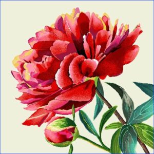 Pernă decorativă jacquard - Art 3 Bujor