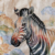Huse de perne decorative 45/45