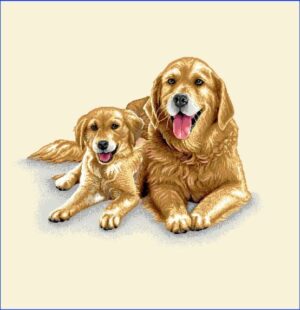 Puppies - Pernă decorativă Jacquard 66