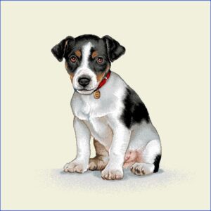 Puppy - Pernă decorativă 78