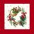 Huse de perne decorative 45/45