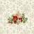 Huse de perne decorative 45/45