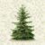 Huse de perne decorative 45/45